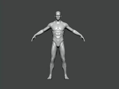 3D Model-ANATOMY0025 male mannequin