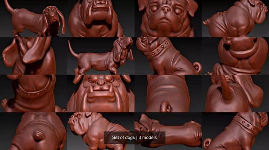 Set of dogs 3D Model Collection