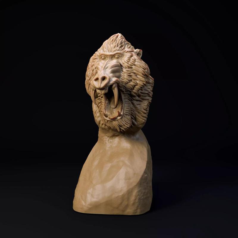 Mandrill bust - pre supported