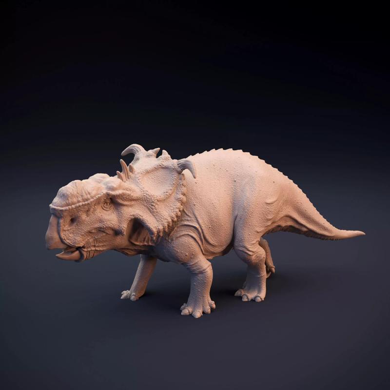Pachyrhinosaurus intended for 3D printing