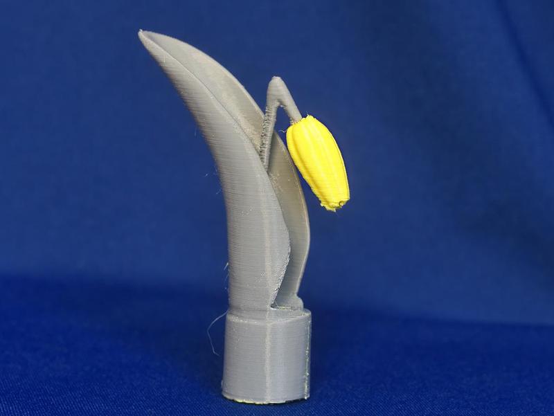 Jean Gordon's carvings Tulip - 2 colour version