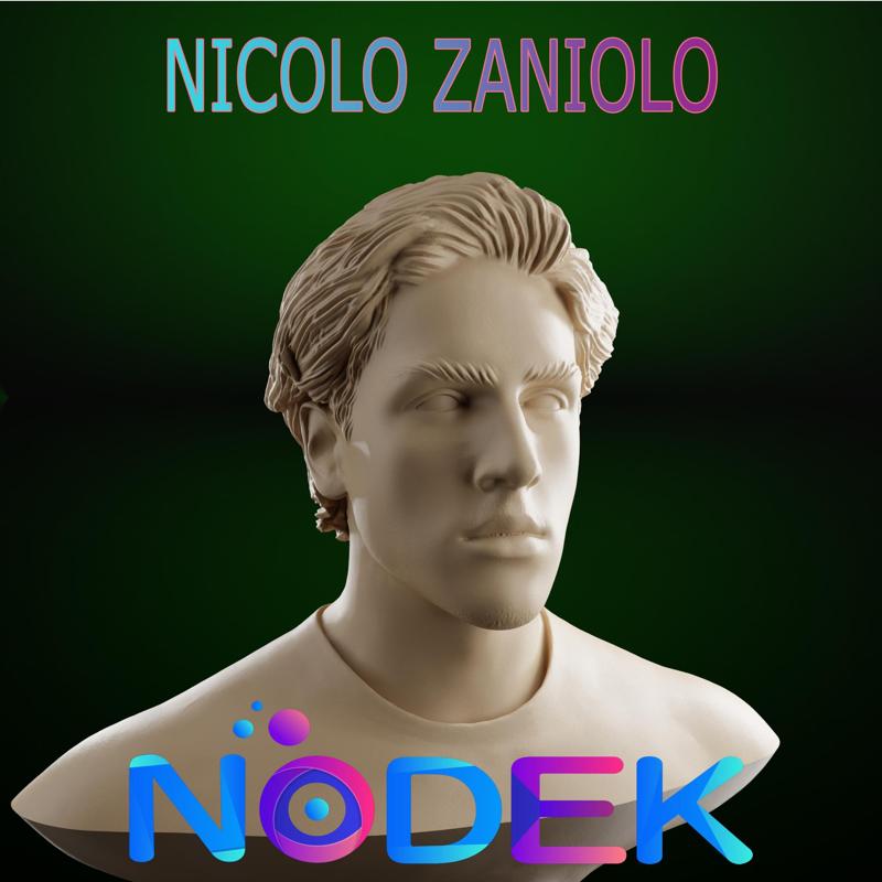 Bust of Nicolò Zaniolo - The Explosive Italian Midfielder