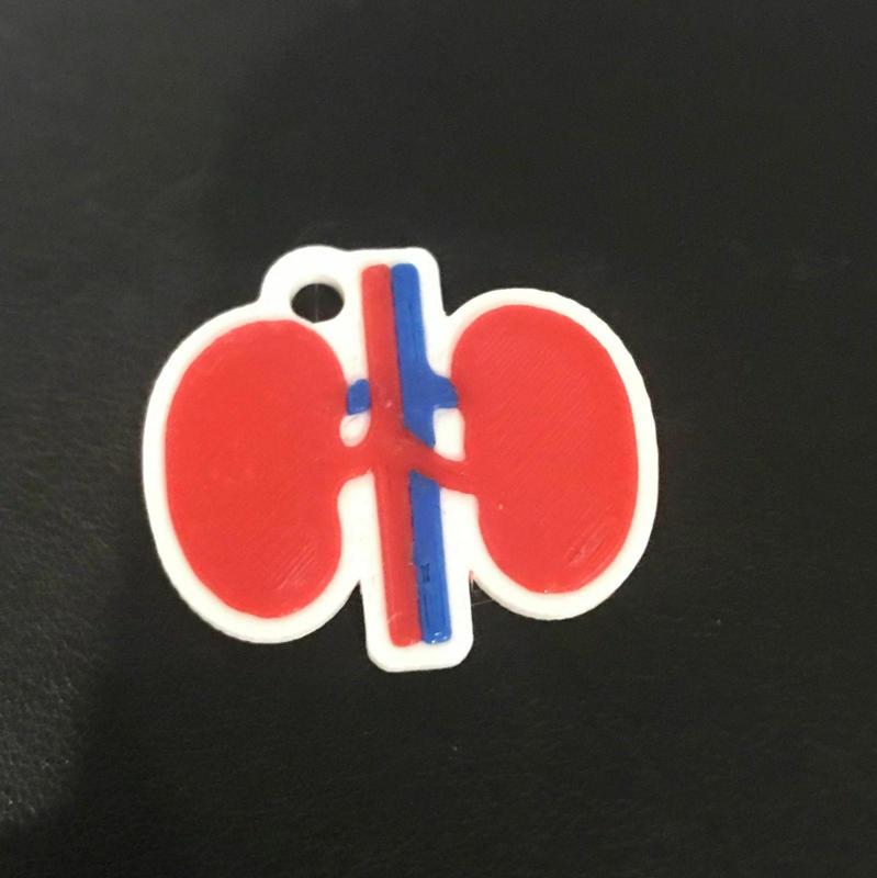 kidney KeyChain