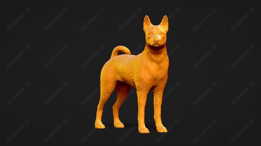 Basenji Dog 3D Print Model Pose 03
