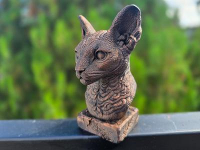 CORNISH REX BUST