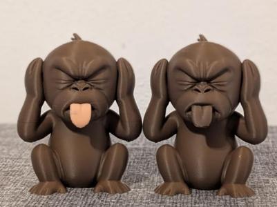 The Cheeky Monkey – Quiet, but Rude