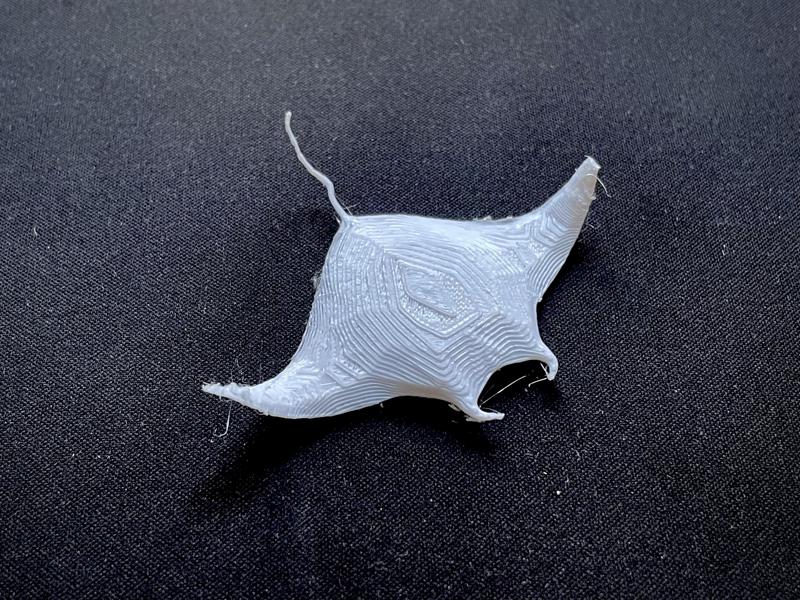 Miniature manta ray