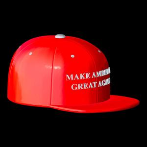 🧢 MAGA Hat 3D Print Model | Make America Great Again Cap