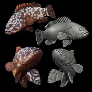 dusky grouper / Epinephelus marginatus in motion fish model for 3D printing