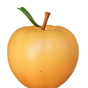 Sunlit Apricot