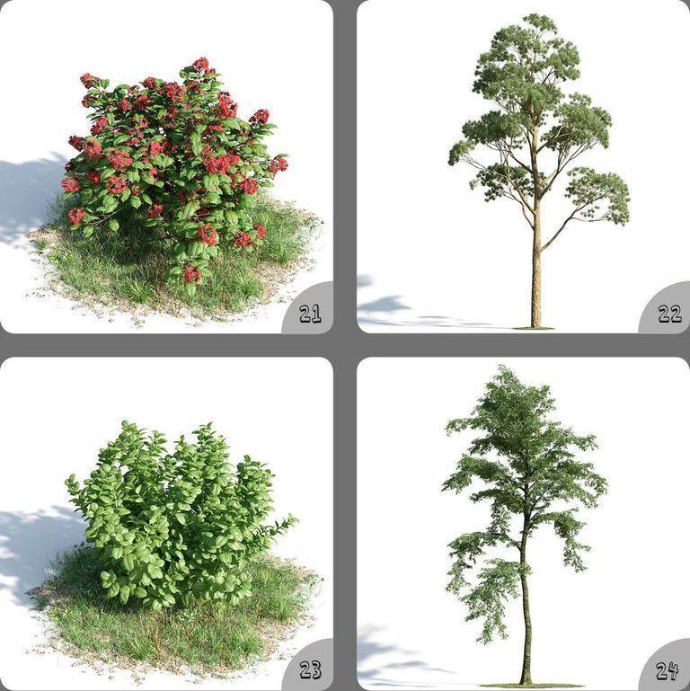 Plants Collection 3D Model Flowers And Tree Home Decor 21-24