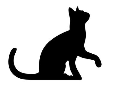 Black Cat