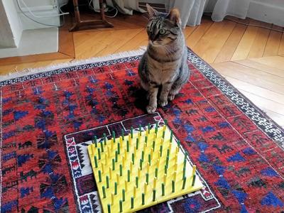 Cat food labyrinth