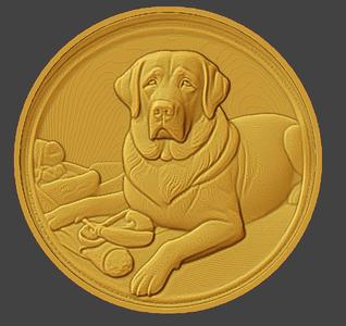 DOG 25