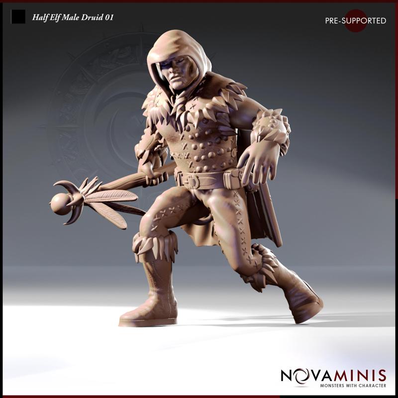 Half Elf Male Druid 01