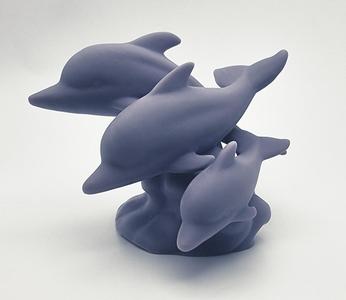 Dolphin Pod