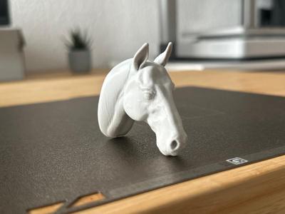 Horse Head