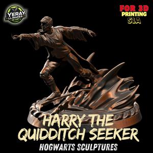 Harry Potter The Quidditch Seeker