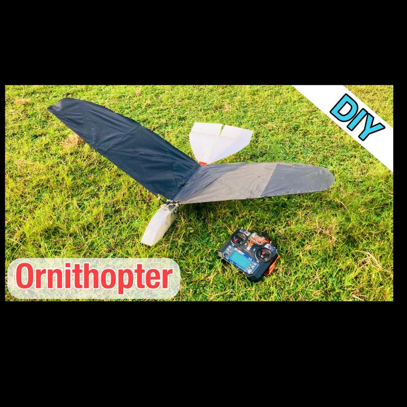 Ornithopter (RC Bird)