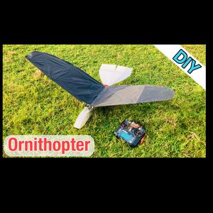 Ornithopter (RC Bird)