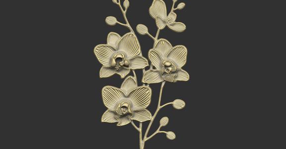 orchids design petal detail luxury unique leave