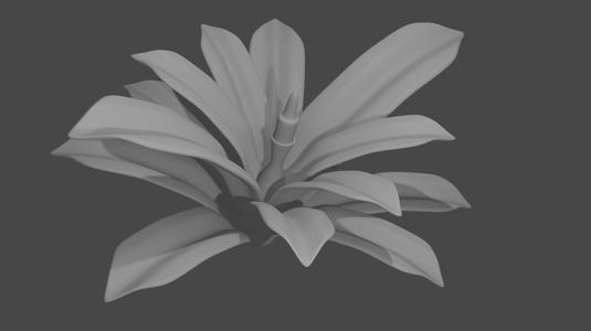 Grassy Plant