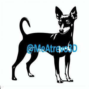 Miniature Pinscher #1