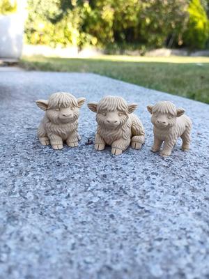 Wee Highland Coos — Mini Trio