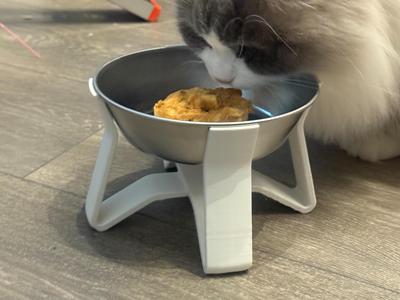 Low Pet Bowl Stand for 15cm Bowl (10cm Tall)