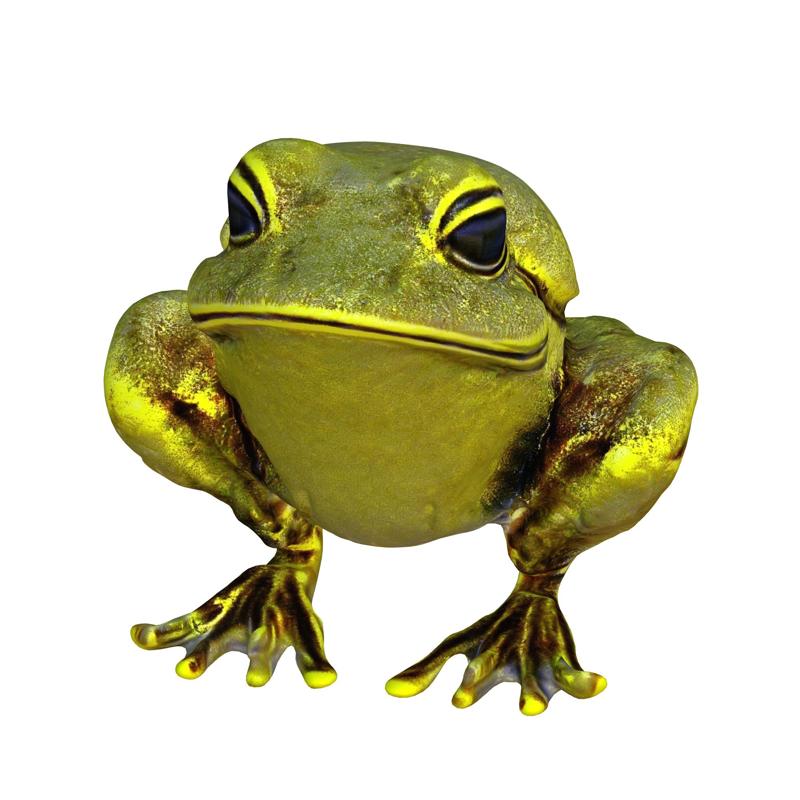 Gold frog