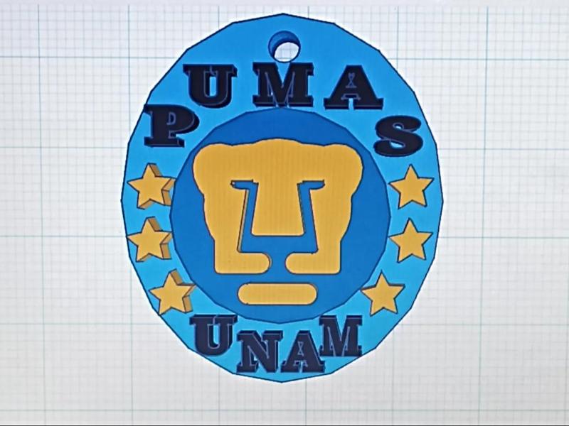 Pumas team keychain