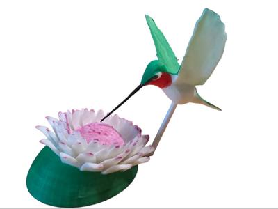 Hummingbird in motion 