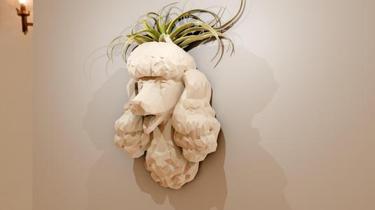poodle head bust mouth open planter pot flower vase low poly stl