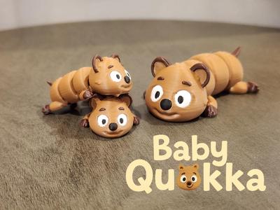 Baby Quokka