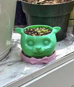 Cat Planter