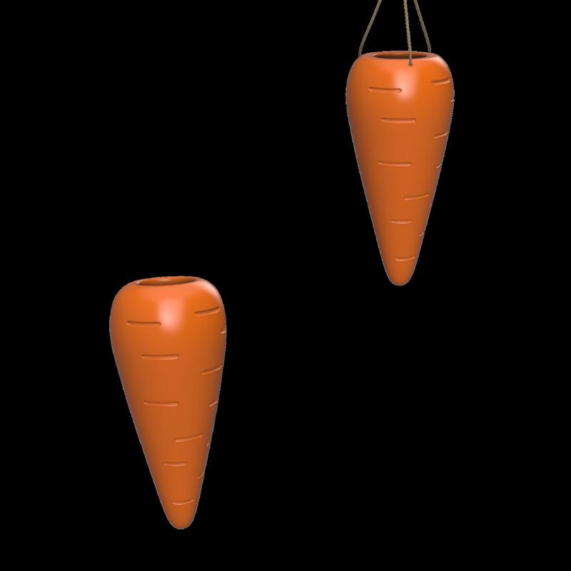 Carrot - WALL/HANGED PLANTER (TWO VERSIONS)