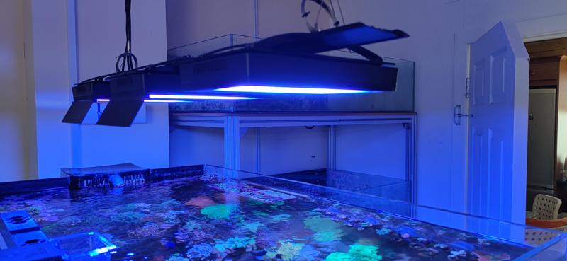 Ecotech Radion XR15/30 Magnetic Side Shade