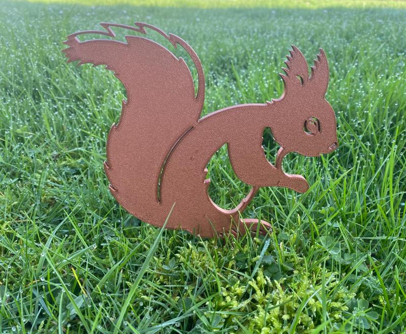 garden squirrel