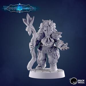 Torgga P1- (Dwarf/Druid)