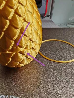 Dragon egg gasket