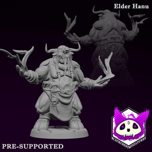 Elder Hanu| Hoavari Tribe