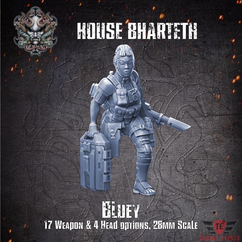 House Bharteth - Bluey