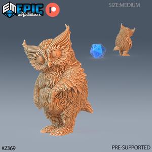 Owlbear Baby / Owl Bear Hybrid / Wild Animal Beast / Forest Encounter
