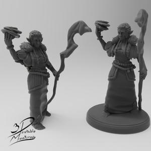 Firbolg Druid