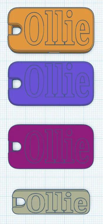 Ollie's Flat Pocket Whistle   