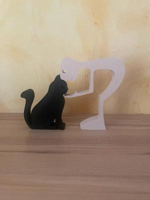 le "maitre" et son chat   