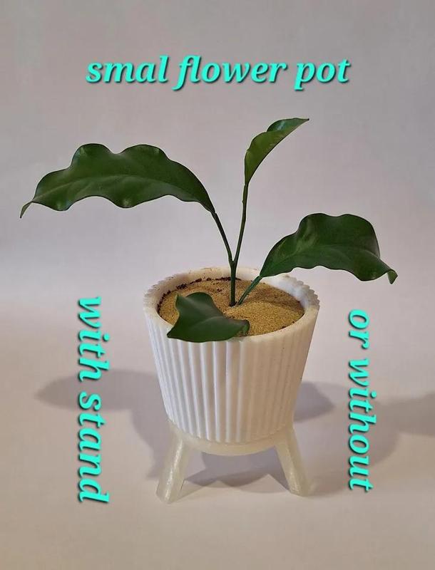small flower pot   