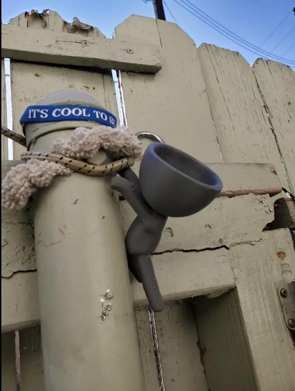 Robert plant with holes   