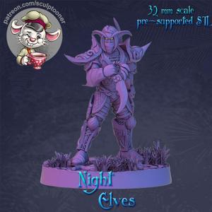 Night elf rogue calm man