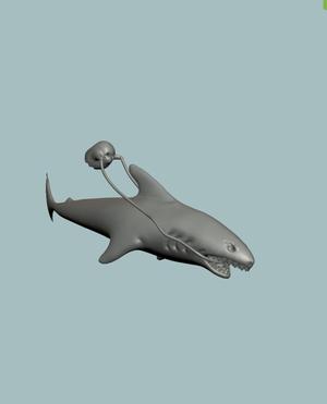 Ghost riding shark